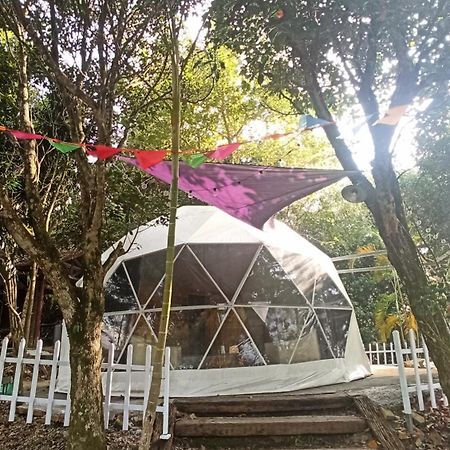 Sky Lounge B&B Zhushan Rum bild